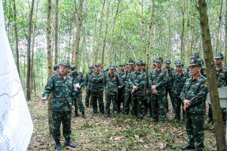 Hướng dẫn